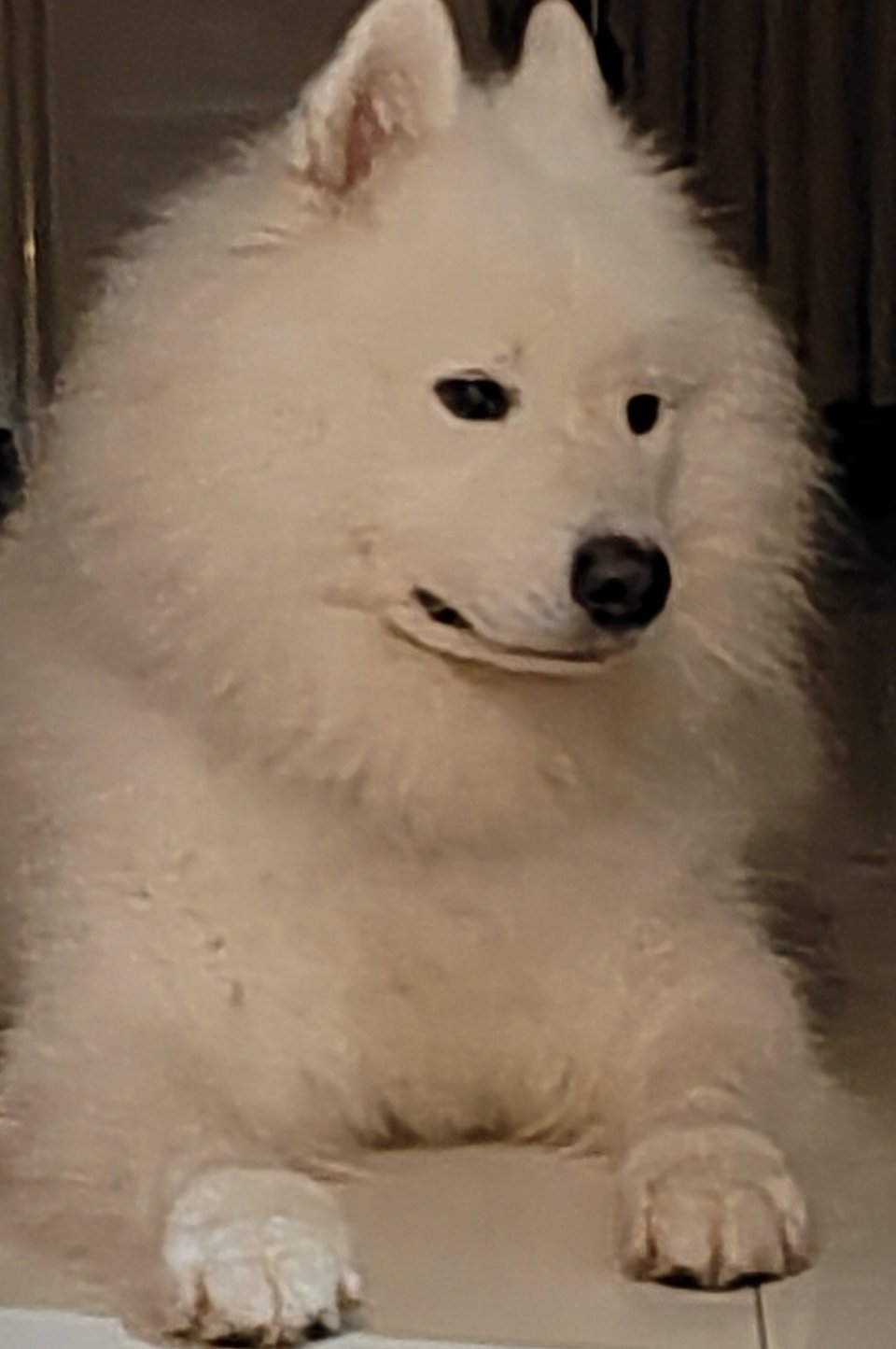不想理你 ​​​