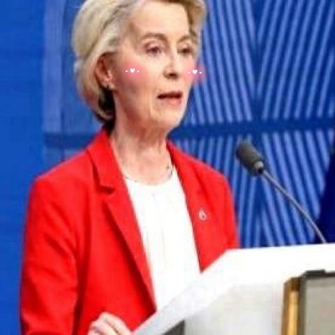 欧盟委员会主席冯德莱恩，当着一排闪光灯，把话筒扶正了。

这个动作不大，却瞬间抓