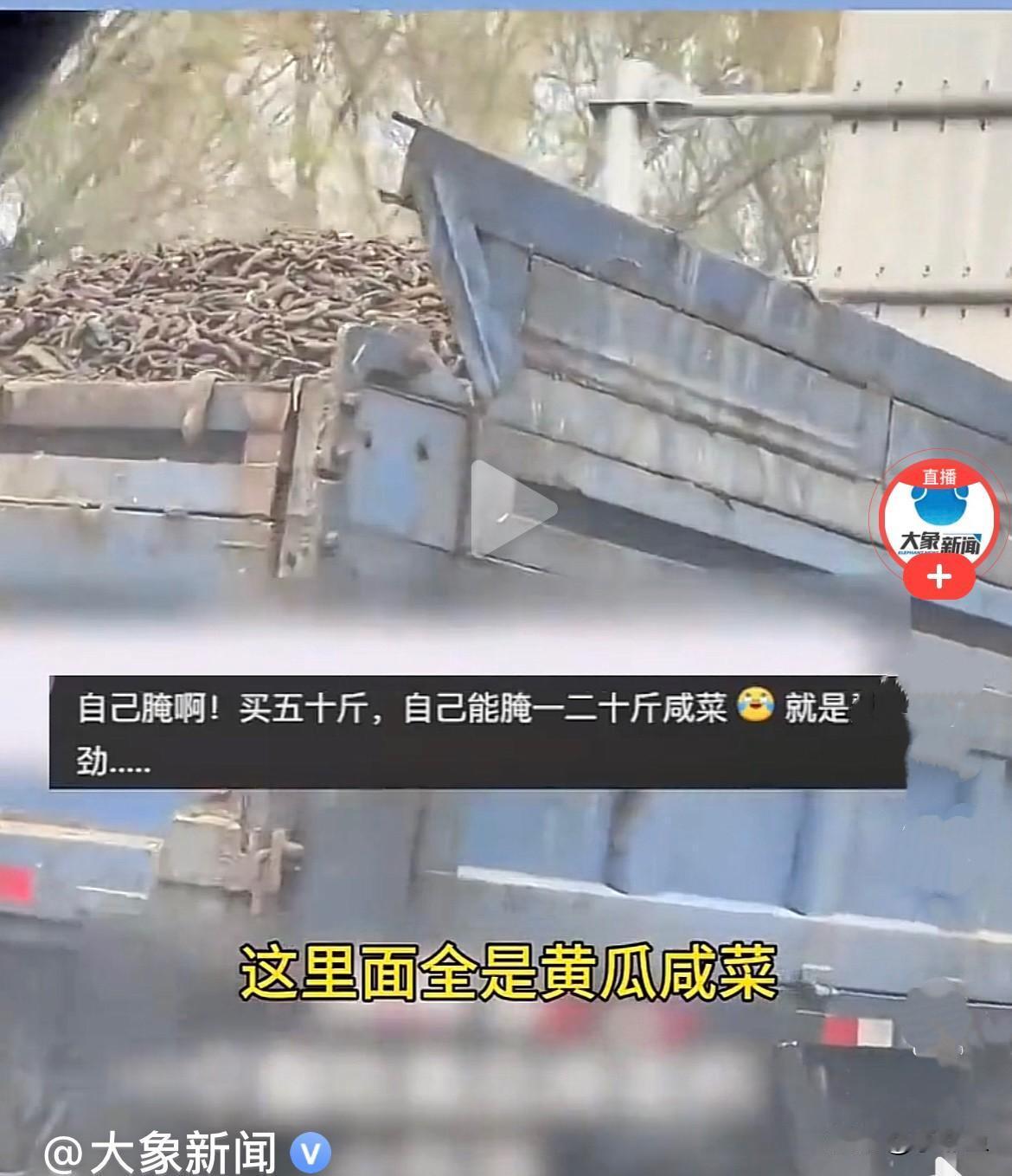 近日山东，一女子开车，看见路上一辆脏兮兮、像拉垃圾的大卡车的车斗里，载着满满一车