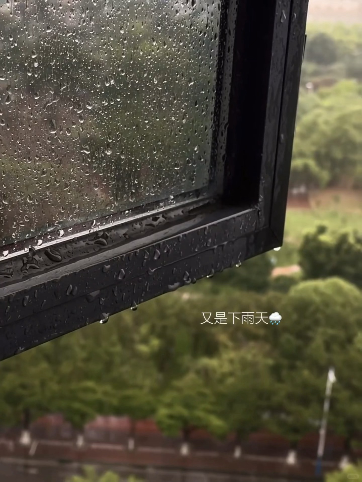 又是一个下雨的🌧️早晨已经忘了多久早上迎接我的不是🌞自从在广州听了雨下一整晚