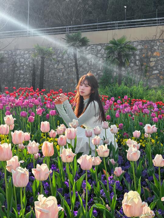 🌷徐州郁金香4.1 ！！live图美得像油画🖼