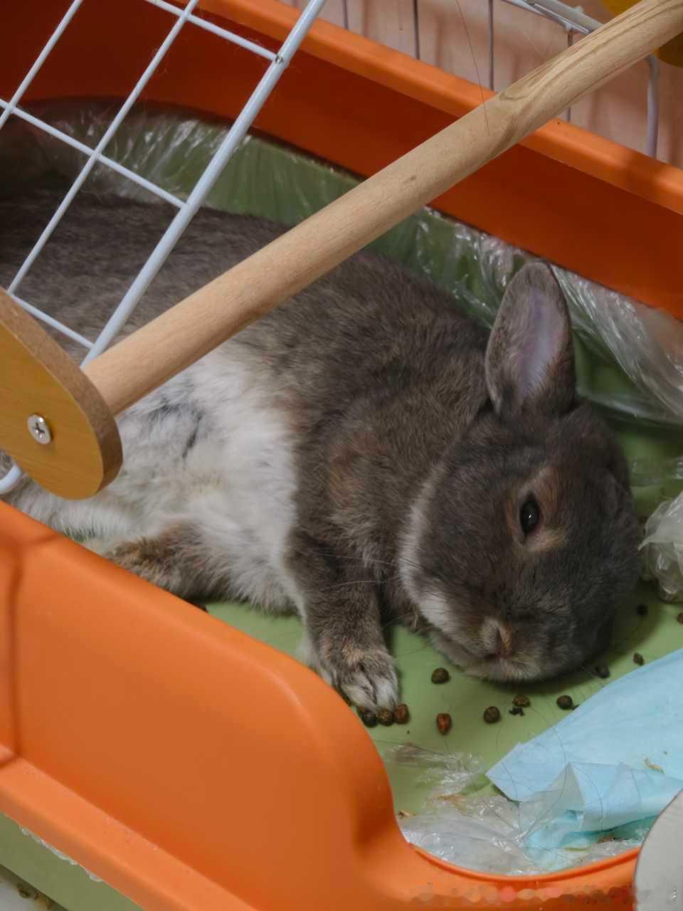 14564......🐇【悠闲】这也能躺的下 