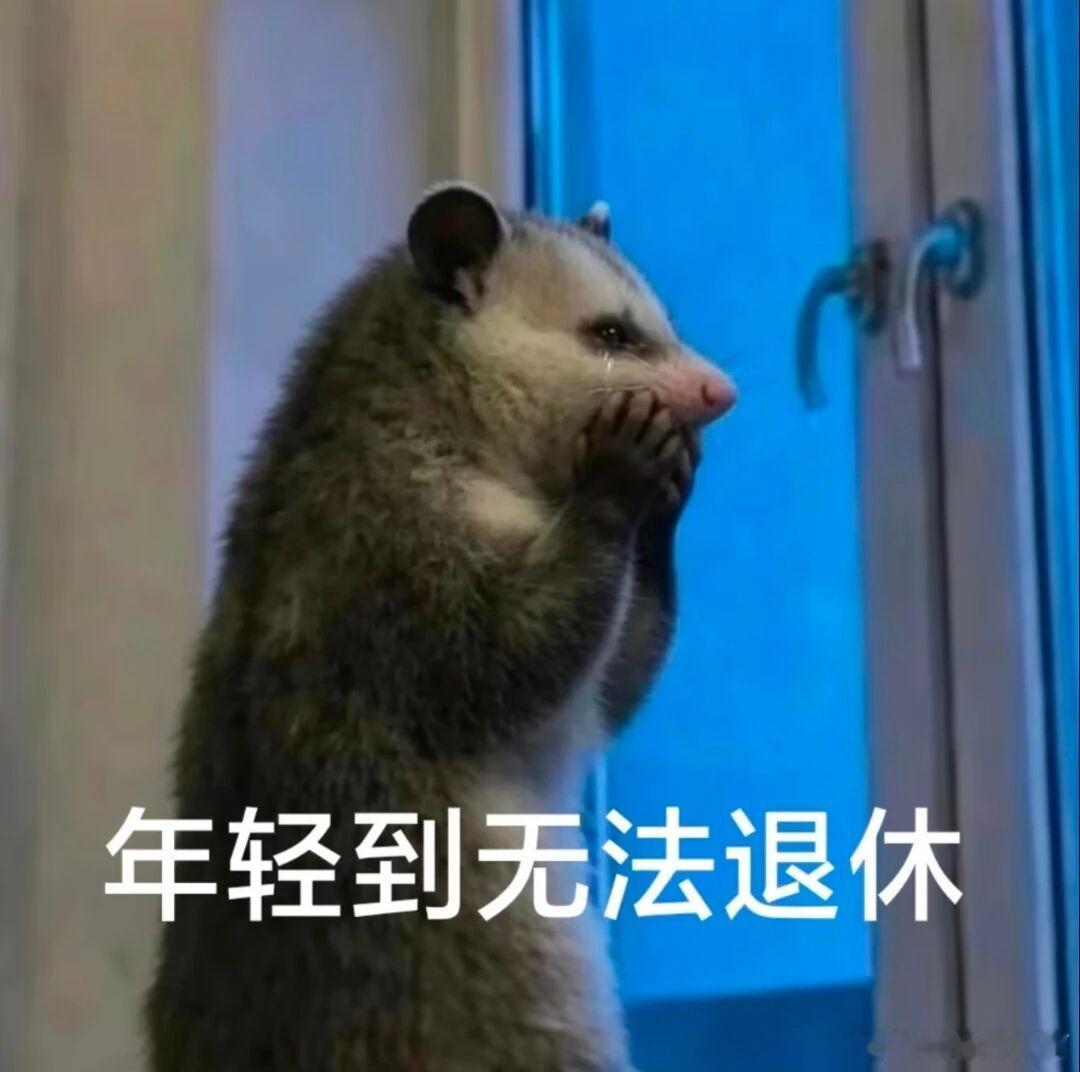 今天没做减脂餐，彤从太原回来就不舒服，今天彻底病倒，喝了一天的面汤，塑料体格还不
