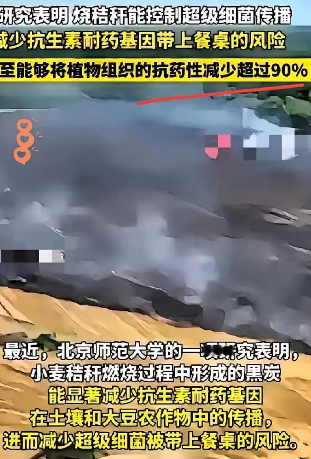 你知道吗？
有个日本专家多年前提出的农业方案，竟让咱们不少农民走了弯路。明明看出