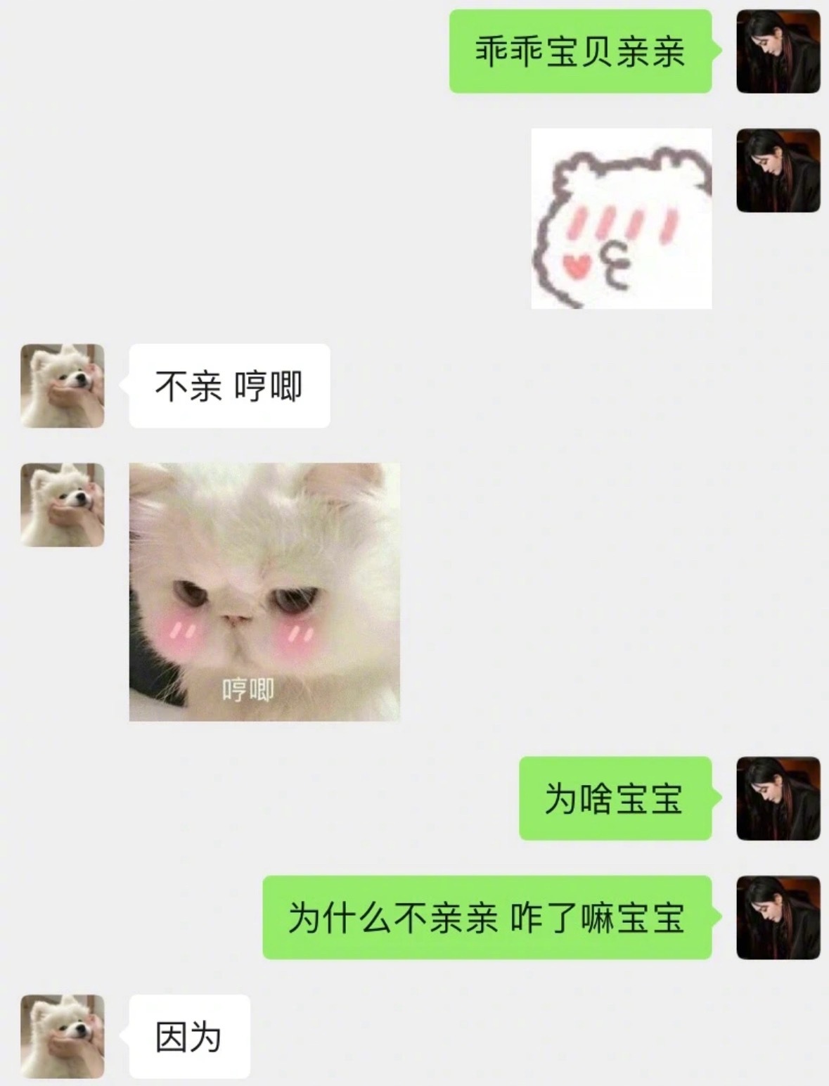 小狗在生气和窝囊中选择了生窝囊气 ​​​