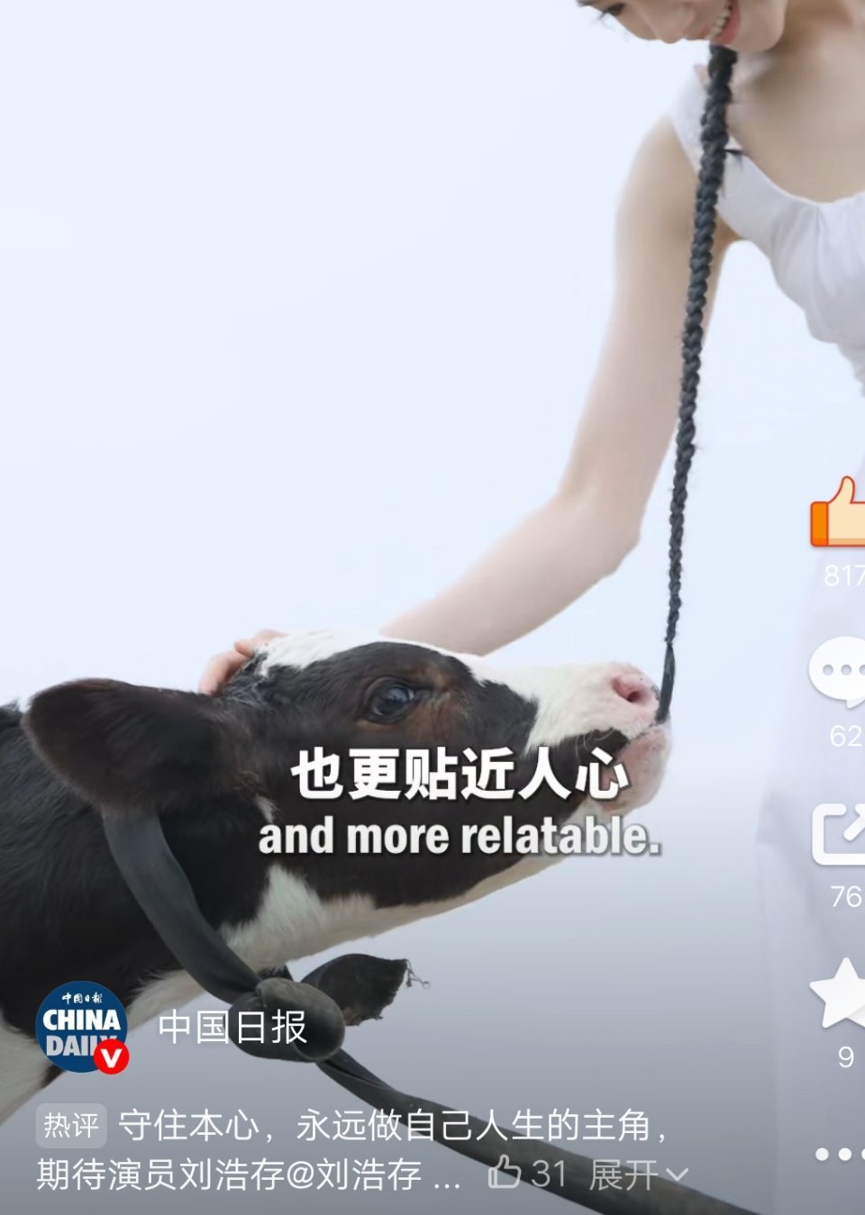 笑死我了，🐄把我存的辫子当牧草填嘴里吃 