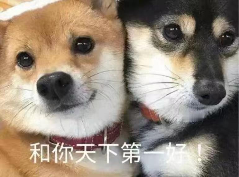 回程高速不塞车真好，今日互动不及时，明天上午一一回复，抱歉了晕车~ 