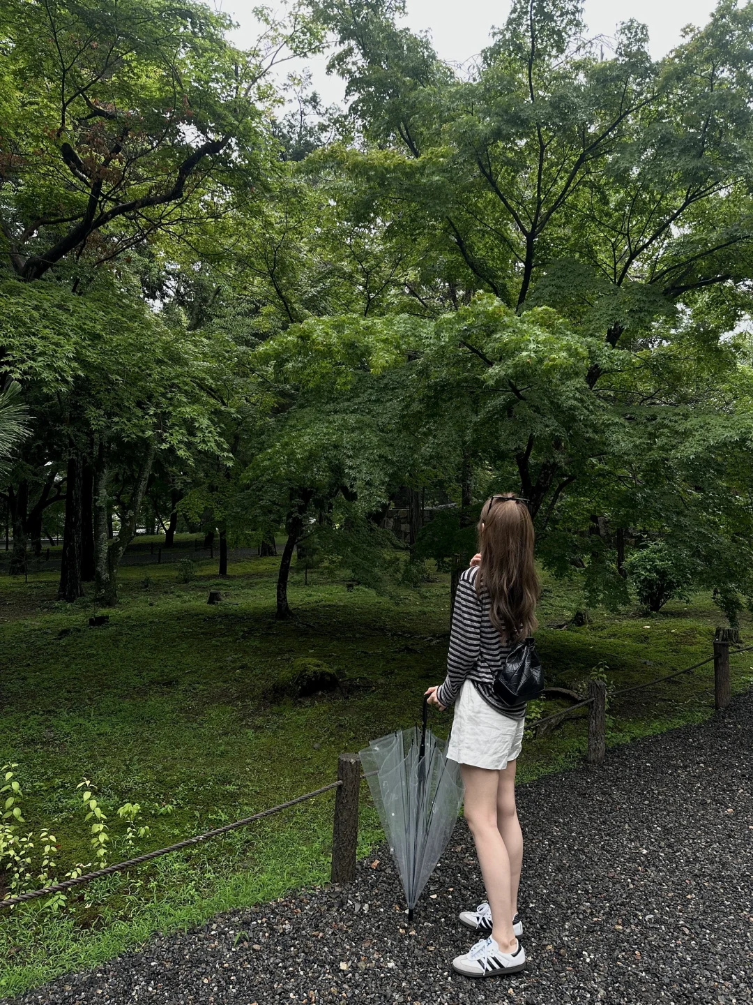 这几天在京都citywalk🌳🦦
