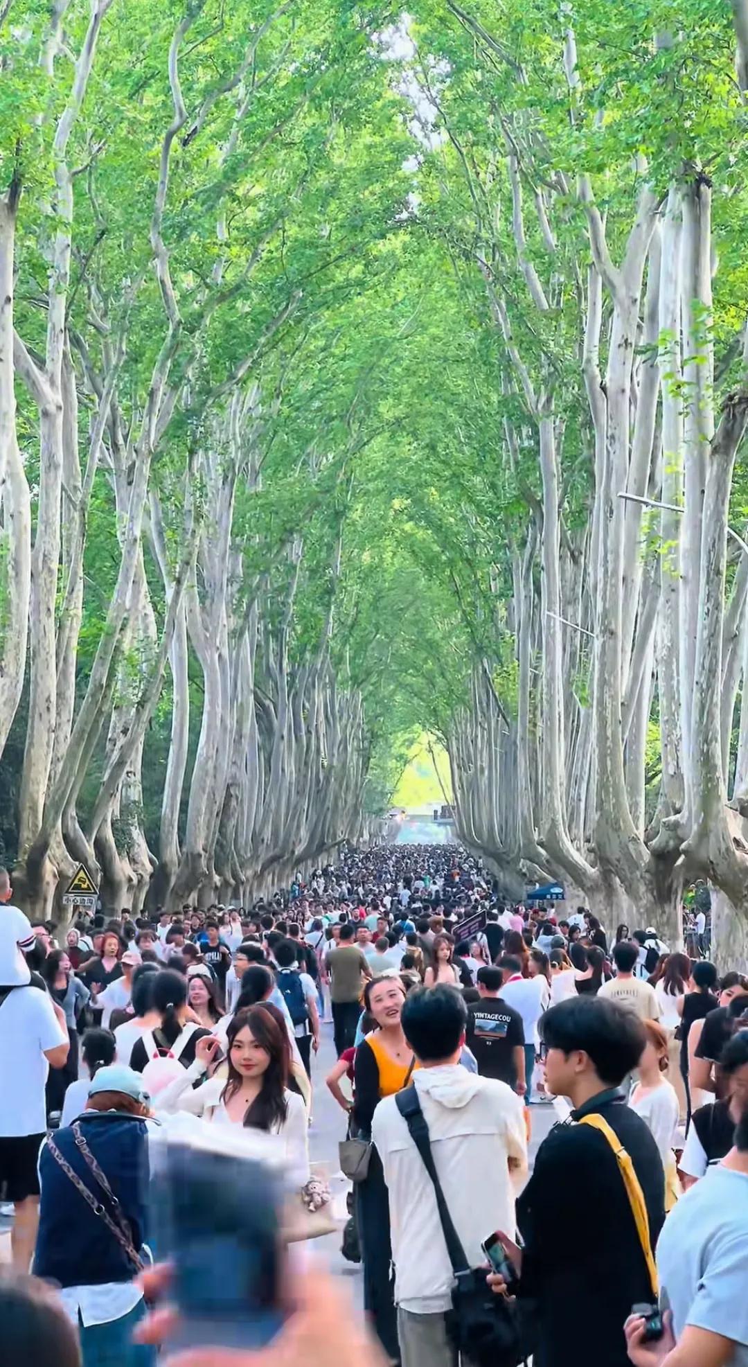 老铁们敢不敢发出你在哪？[笑哭]
是欣赏美景，还是看动物，是品尝美食，还是车多堵