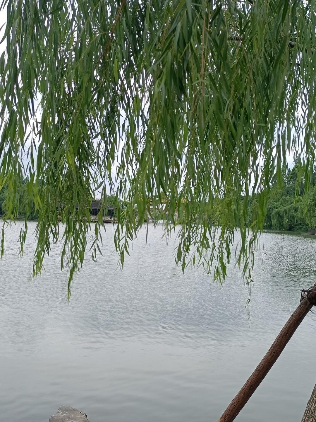 废帝刘子业的荒唐事


刘子业跟父亲刘骏的感情不太好，有一次刘子业写信给刘骏，字