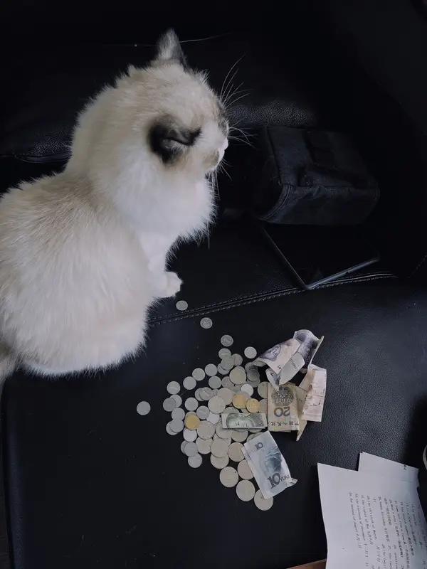 吃年饭更是一笔不小的开支，要是在家里办，鸡鸭鱼肉、山珍海味都得备齐，还得准备各种