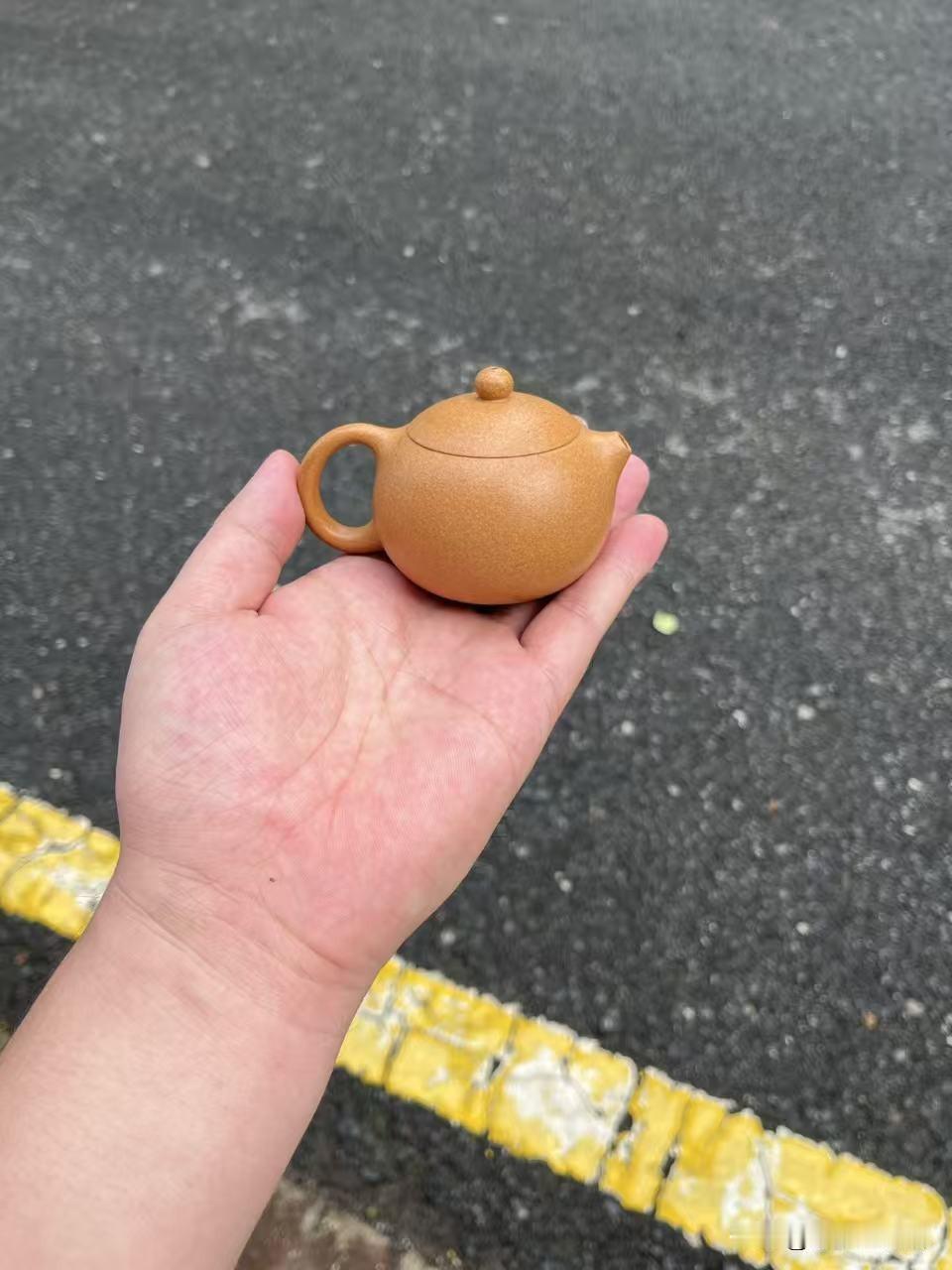 精品半手工制作的西施壶西施壶，完整称谓"西施乳壶"，由明代制壶大家徐友泉首创，距