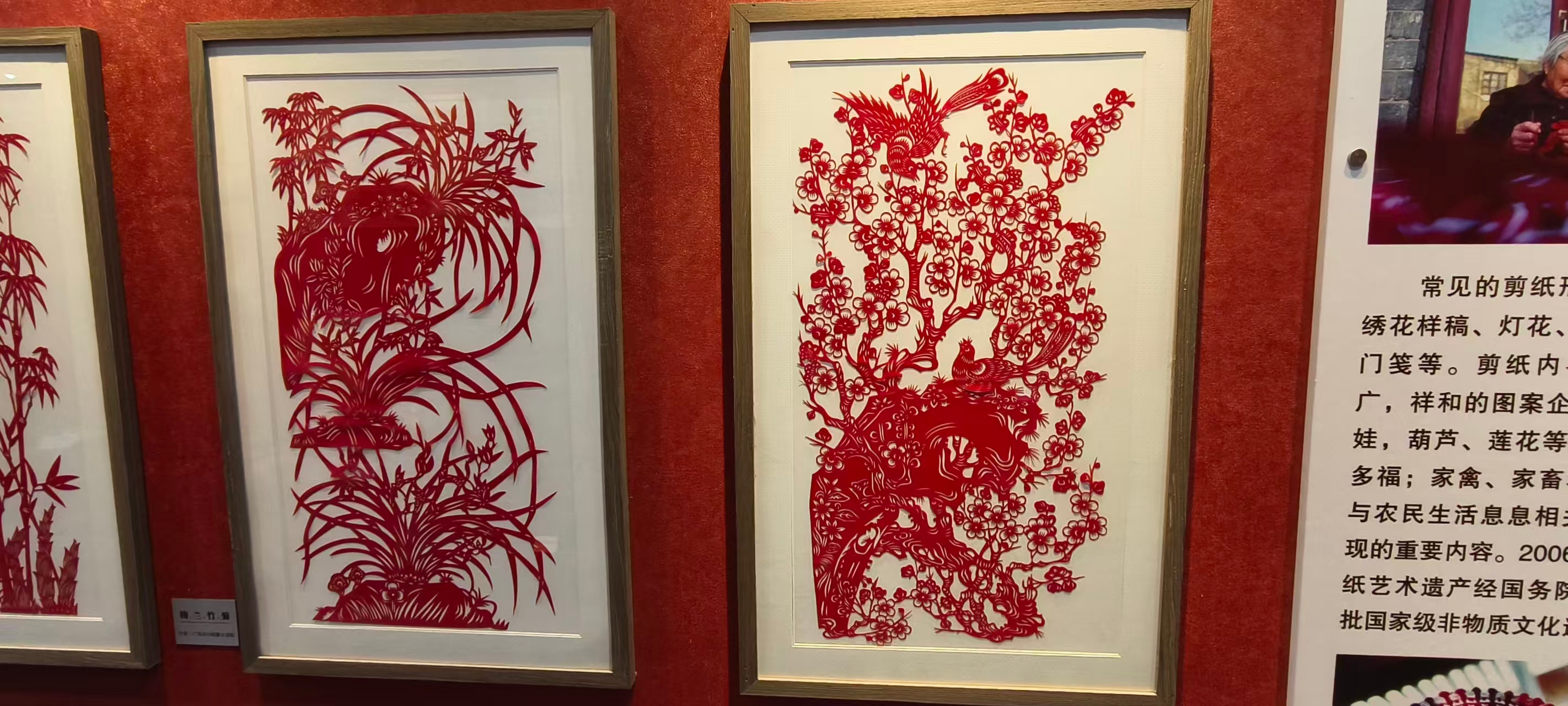 秦岭笑谈山东学子寒假在行动 吕韵传薪实践队打卡东营市历史博物馆2月4日，曲阜师范