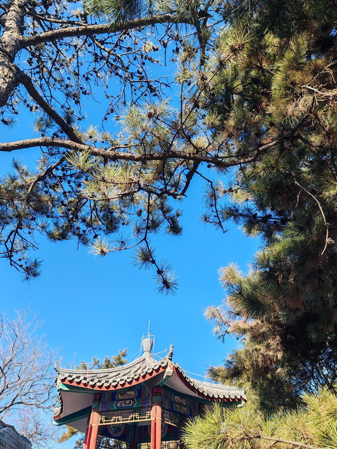 晒图笔记大赛随手一拍。