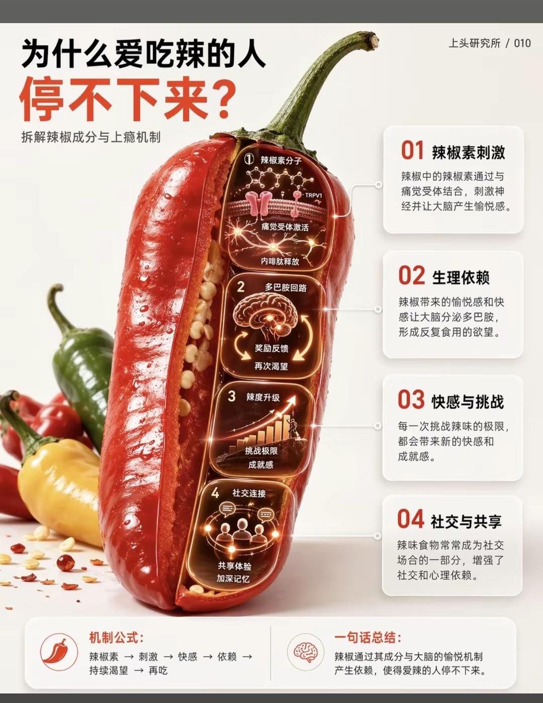 为什么你那么爱吃辣椒？四大因素让你欲罢不能！
   根据《味觉科学》相关研究，辣