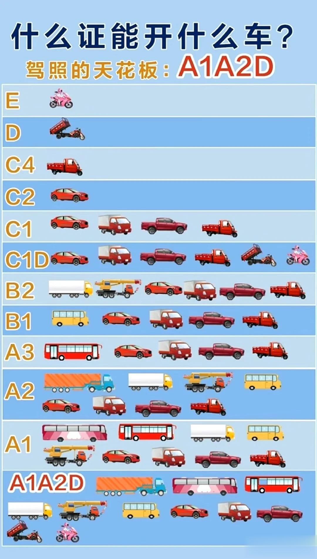 驾照的天花板：A1A2D，天下无敌了，除火车，飞机，轮船，其他都能开[赞]，来看