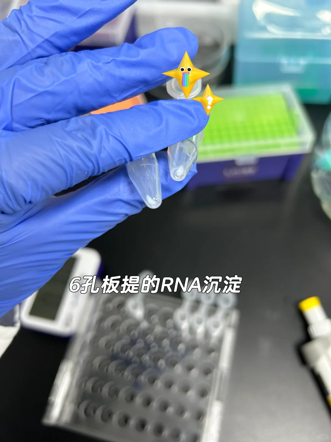 当代掌管RNA的研究生😌