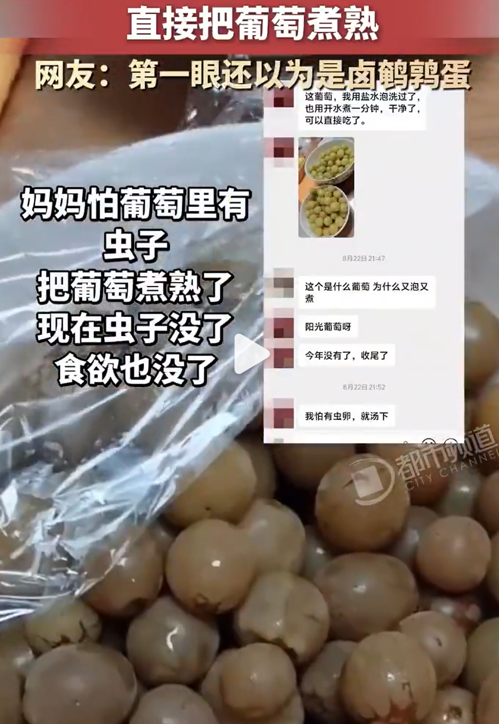 妈妈煮熟葡萄虫子没了食欲也没了我第一反应就是，没点常识吗？[黑线] ​​​