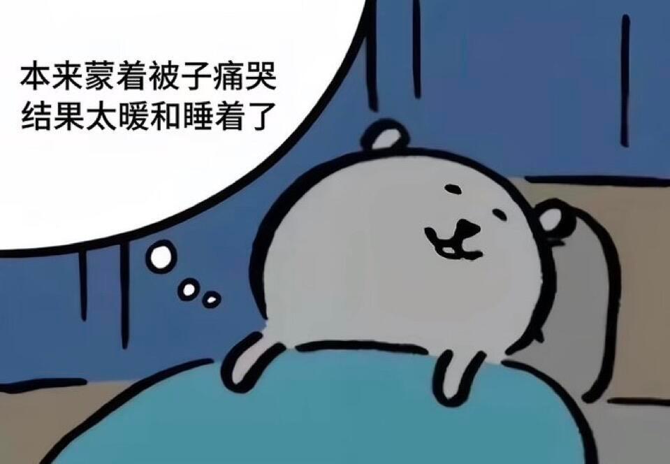 熊，好睡眠 