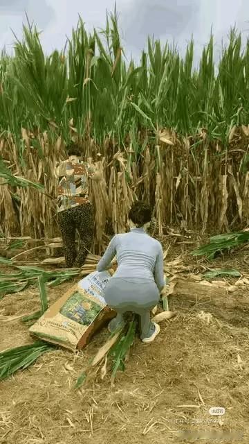 允许一切发生
这个世界上，没有好坏，没有对错，
只是大家处在不同的频率，允许自己