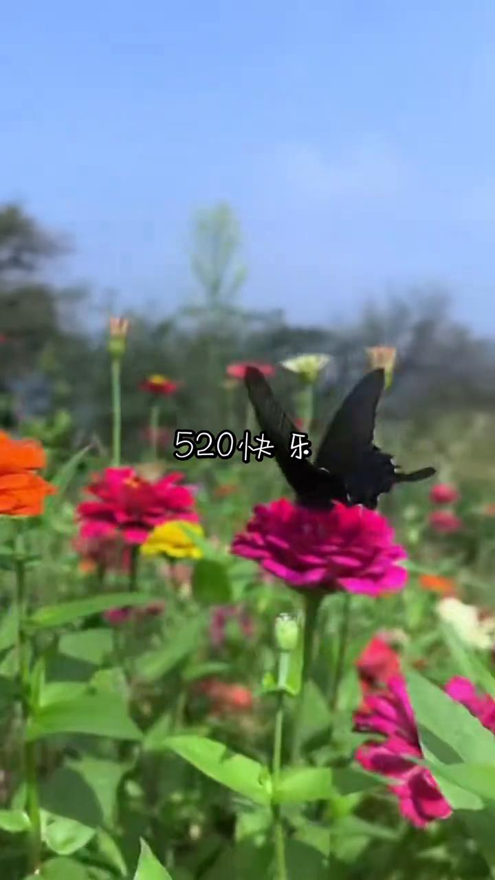 520快乐。