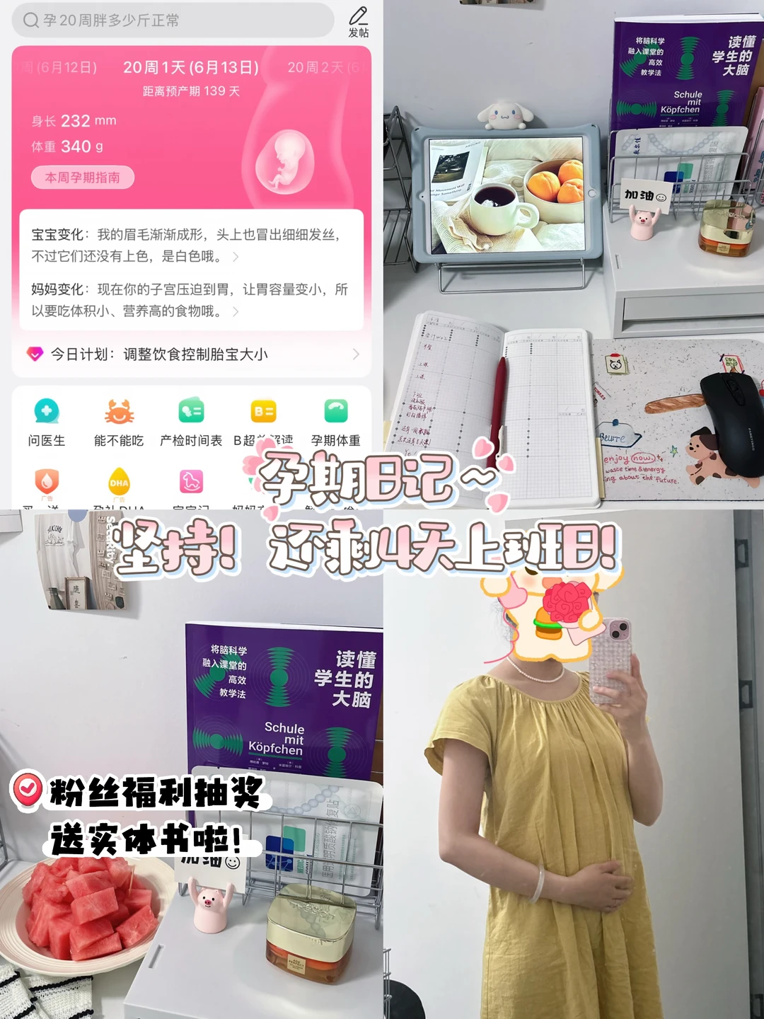 孕20w教书日常｜学习不止步～自律更自由🌻