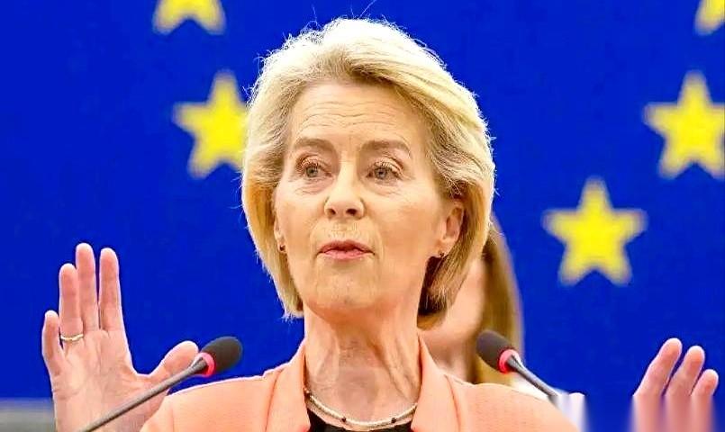 这事儿真逗。
一大家子人（欧盟）商量着怎么给邻居家打架的小孩（乌克兰）凑医药费，