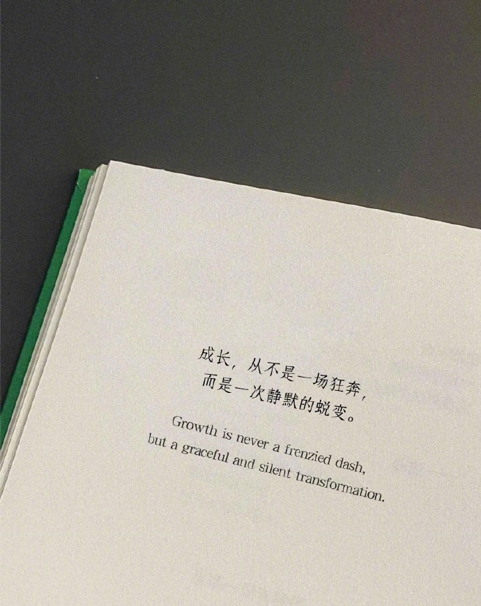 “成长，从不是一场狂奔，而是一次静默的蜕变。” 
