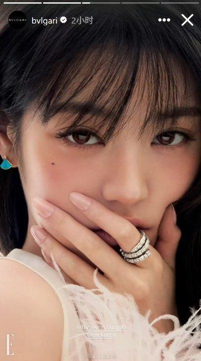 宝格丽好宠 元英好美 