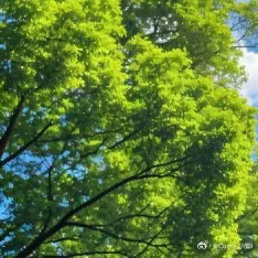 🌸阳光信用🌸每日一善🌸“赠人玫瑰，手有余香。”当你向他人伸出援手，那善意的