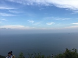 朱枫热读