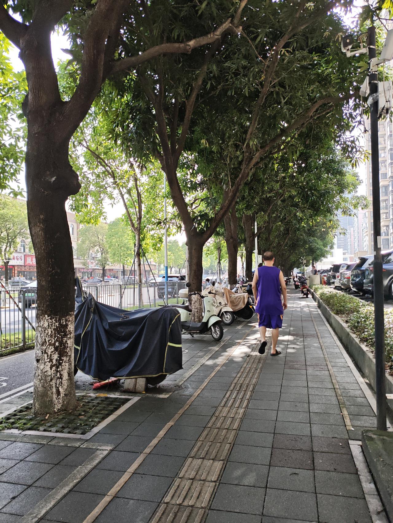周末放松时刻周末出去放松一下，在人行道上走走停停，又休闲又散心，还可以和路人聊聊