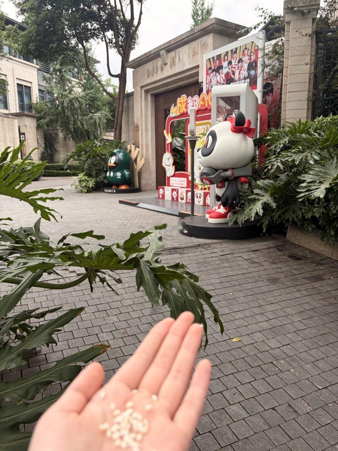 真是撒把糯米吧，现在都不是一把糯米能解决的事儿了 
