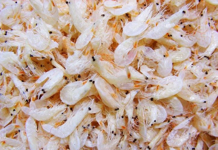 虾皮中营养比较丰富，还有“钙的仓库”之称。但要注意这点才能吃对！

在一个阳光明