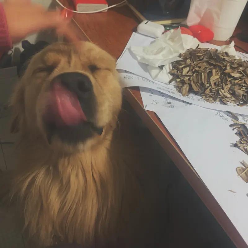 最近“干什么”的方言表达火啦，话题播放超5亿！各地说法真是五花八门。
东北人说“