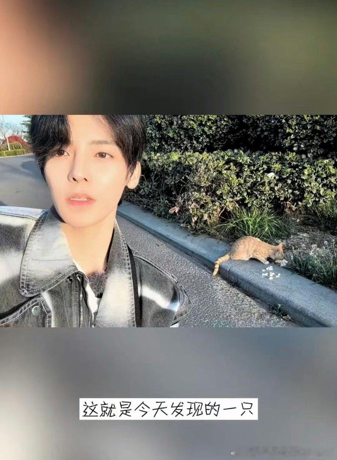 #侯明昊谁会问一只猫有什么诉求# 侯明昊在录制综艺十天的路上偶遇一只小猫。他问小