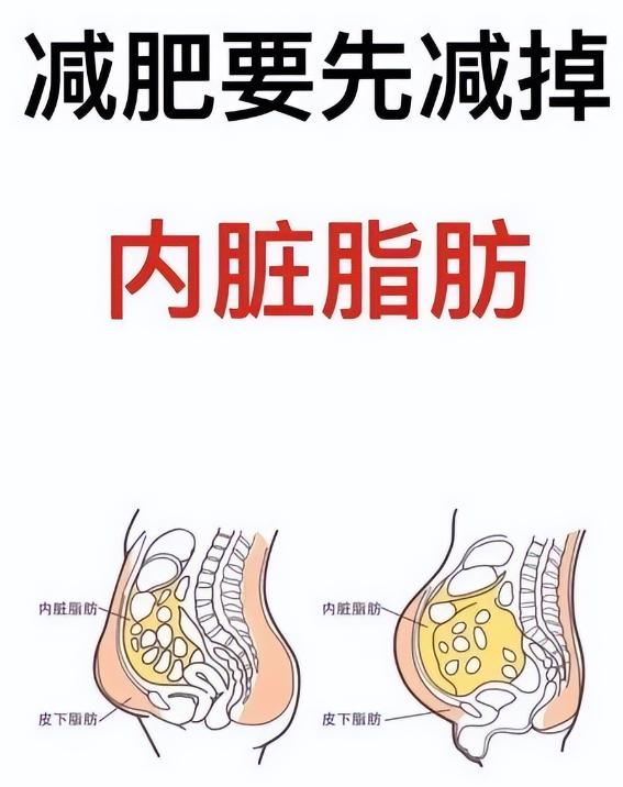 同样是长胖，内脏脂肪比皮下脂肪对健康威胁更大。
很多人只关注体重秤上的数字，觉得