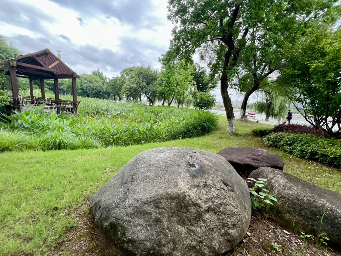 江南黄梅天，风一阵，雨一阵。我在池堂边的水榭里坐着喝茶，此刻雨下大了，一时走不了