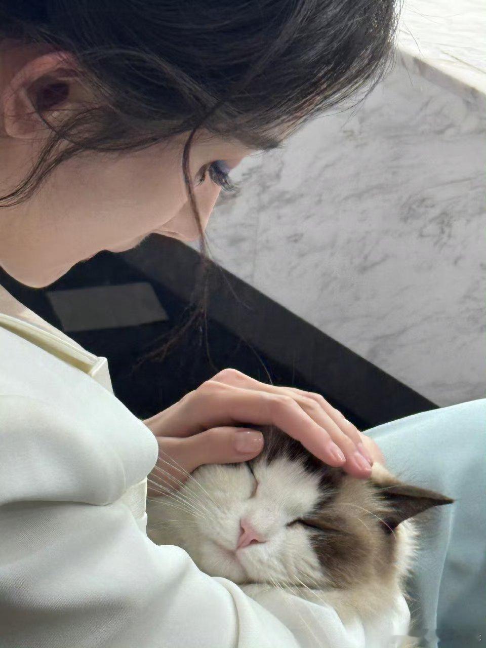 还不知道名字的新猫咪已经成为杨幂的新宠了[柯基]想被杨幂环抱着[捂嘴哭][拜托]