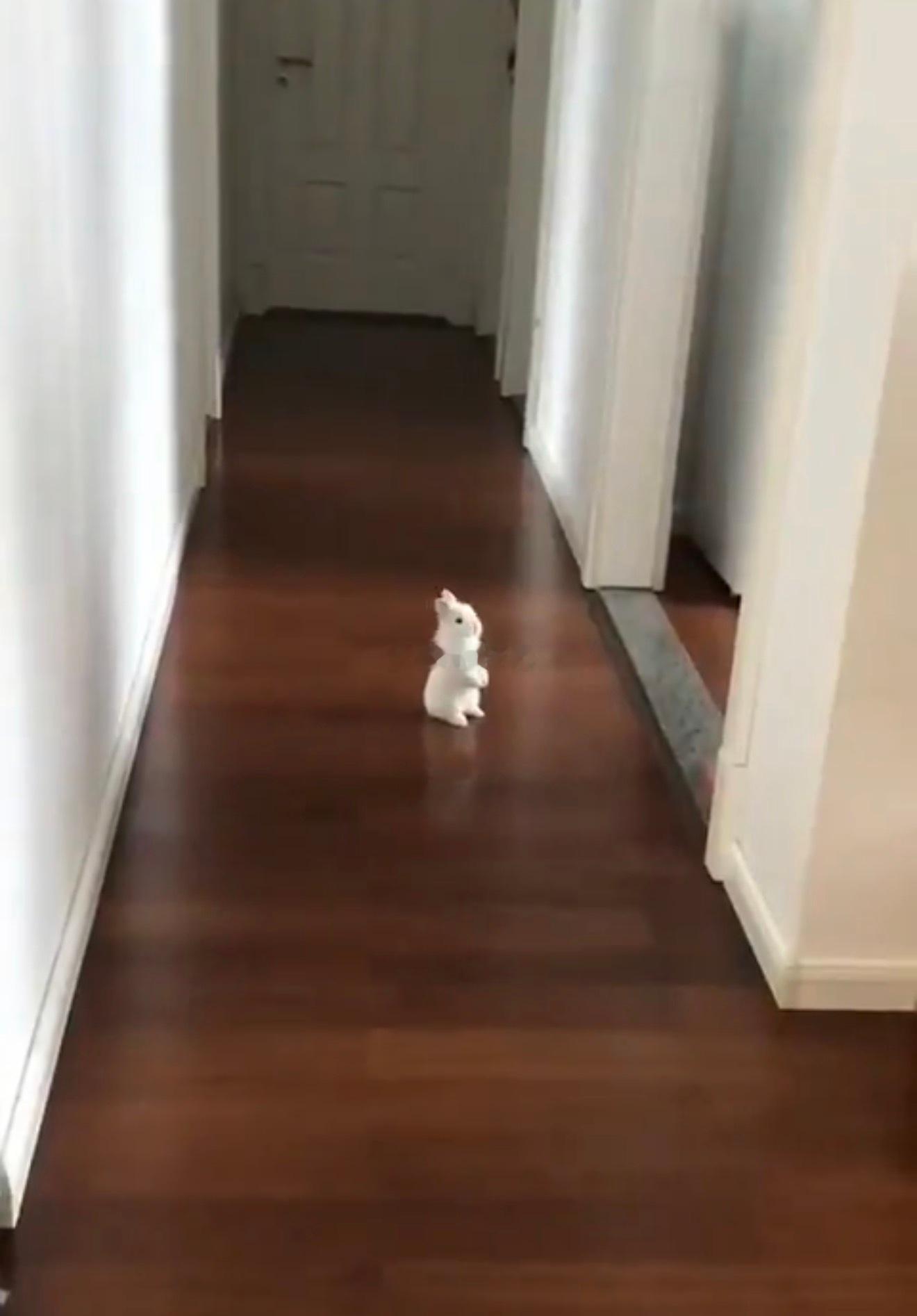 群秀俩人偶尔玩玩幼稚的游戏邵群看到自己的心肝程秀这么着急三秒内出现 