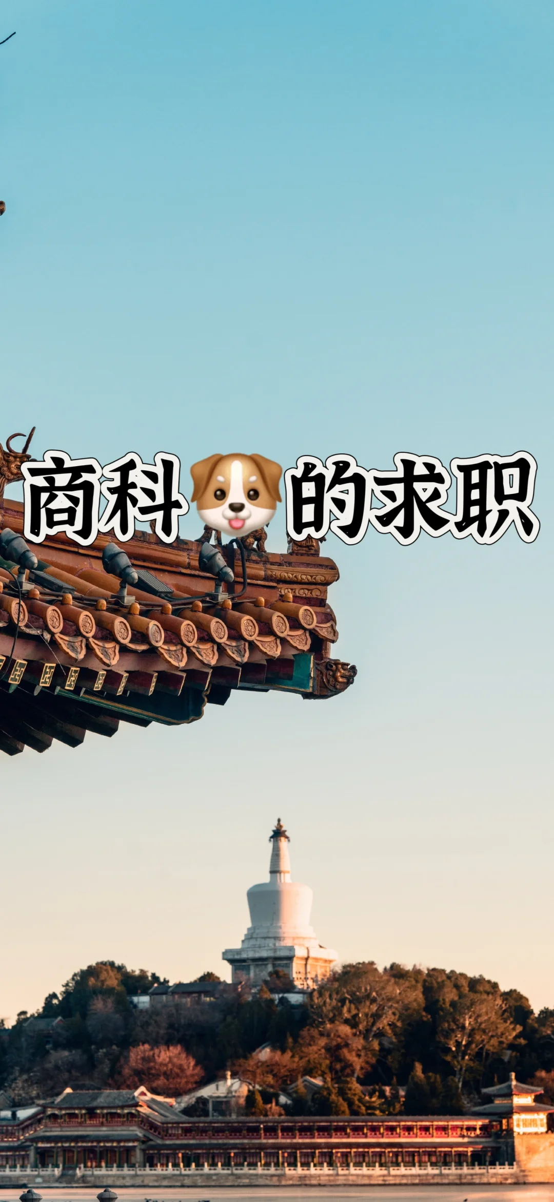 工-商-工：商科狗的血泪史😭