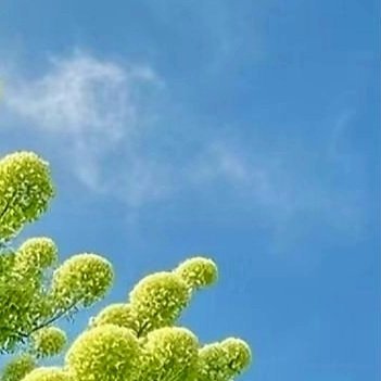 阳光信用｜每日一善一言一行，可辨人品；一朝一夕，可见人心。人与人最好的交往，必定