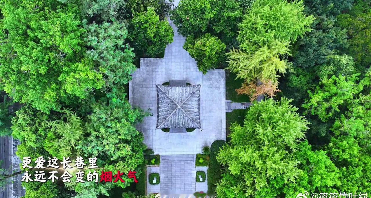 这封情书，回荡在传统与现代的交响里。
包公园的荷香与清风，诉说着千年的廉韵与风骨