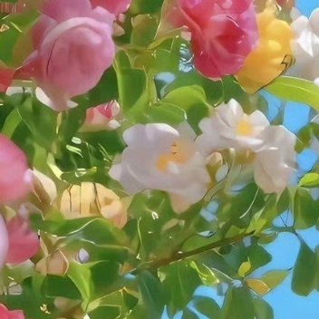 熊猫守护者 🐼熊猫守护者 🐼森林驿站 善良是一棵生机无穷的种子，只要你舍得播