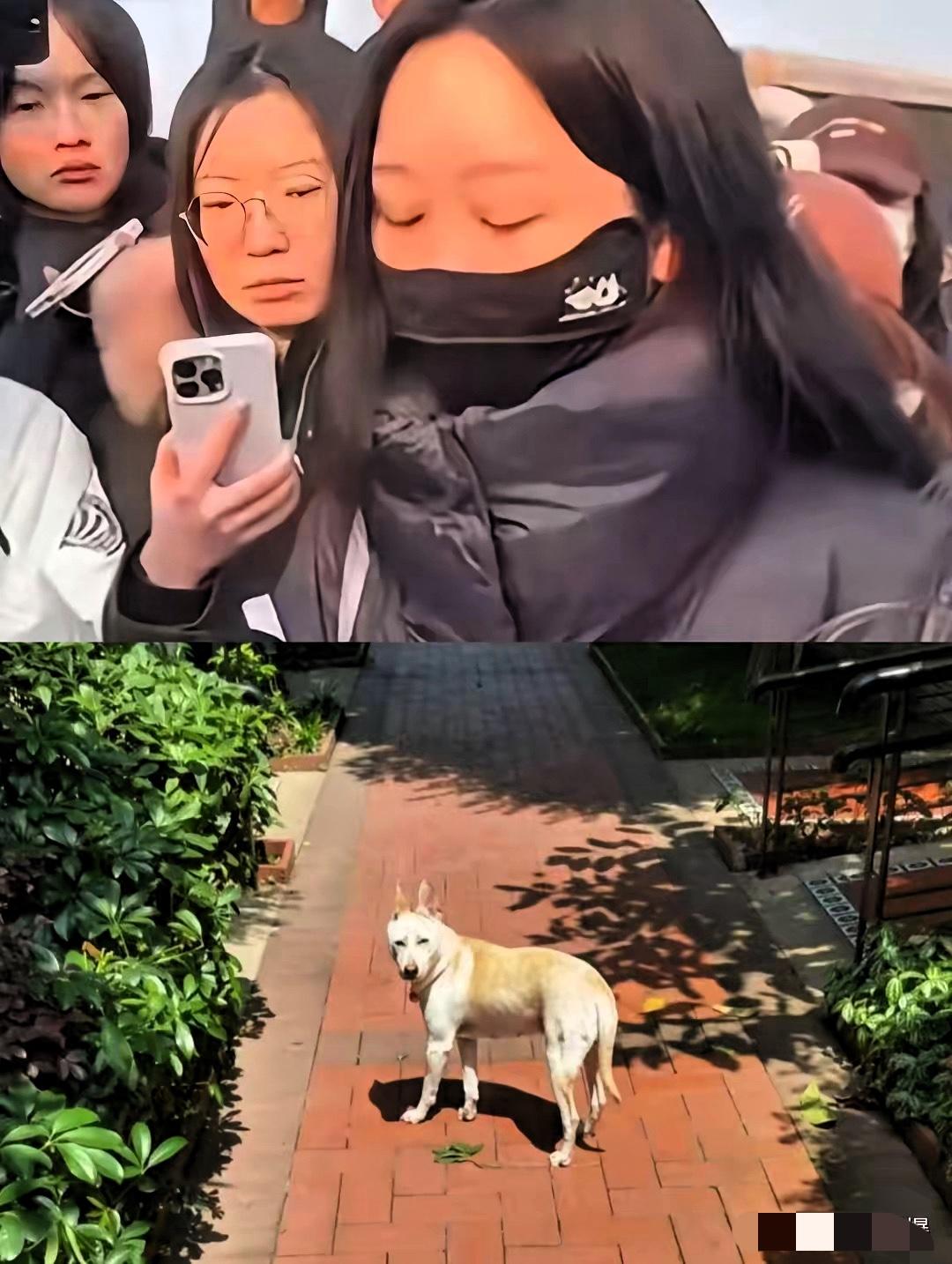 北京的李女士，
做人请不要太自私。
自己知道要脸，可是做的是让人不可苟同。

总