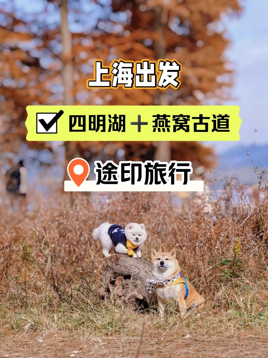 四明湖最美的季节来了 上海出发一日徒步