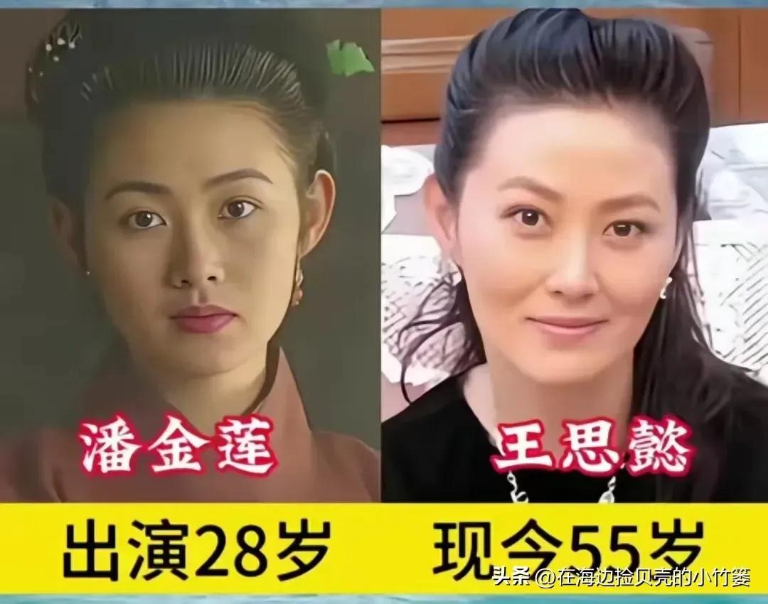 饰演鲁智深的臧金生。
饰演高俅的魏宗万。
饰演潘金莲的王思懿。
释延武松的丁海峰