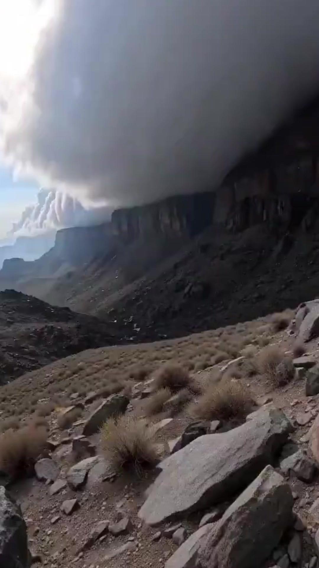 小时候爸妈爬三清山，留我在外婆家。我求他们带朵云回来，结果拿了团棉花糖骗我，直到
