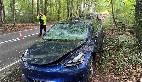【特斯拉Model 3被大树砸中护住乘员安全 车主又提新车支持马斯克】英国特斯拉