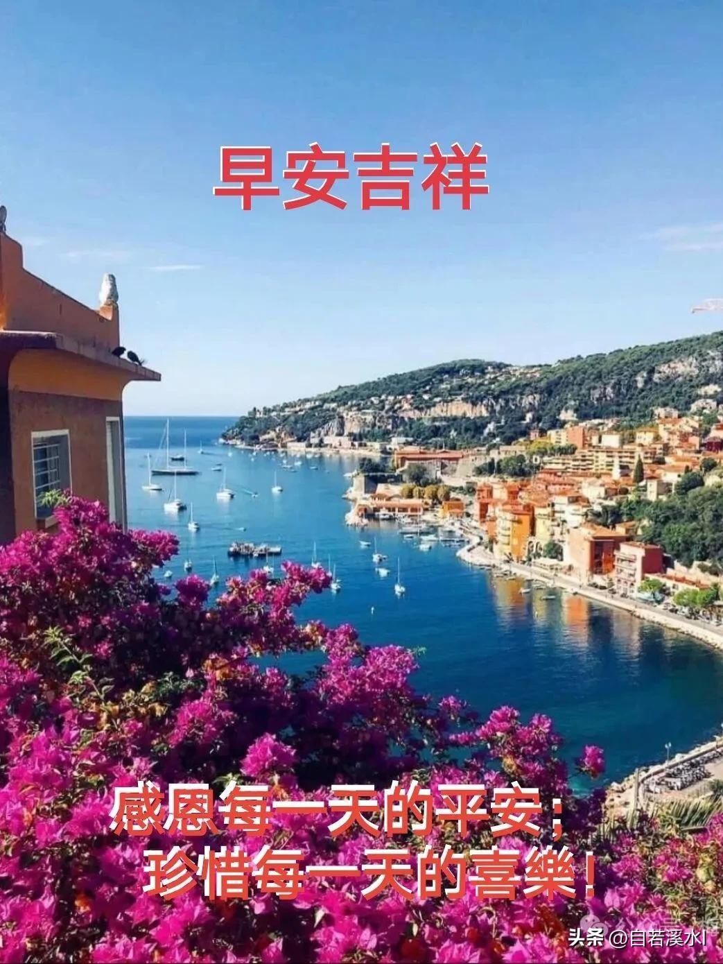 碧海繁花，晨光正好。
感恩日日平安，珍惜时时喜乐。早安吉祥！